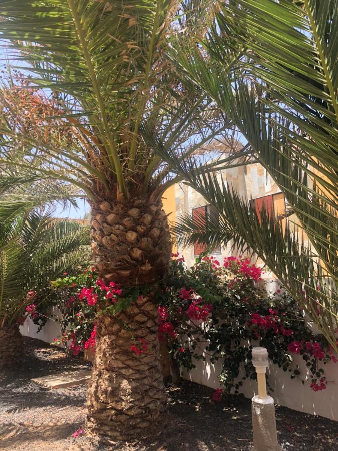 Apartamento Sunny Complex Amaya Fuerteventura Costa De Antigua Eksteriør bilde