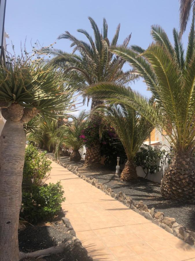Apartamento Sunny Complex Amaya Fuerteventura Costa De Antigua Eksteriør bilde